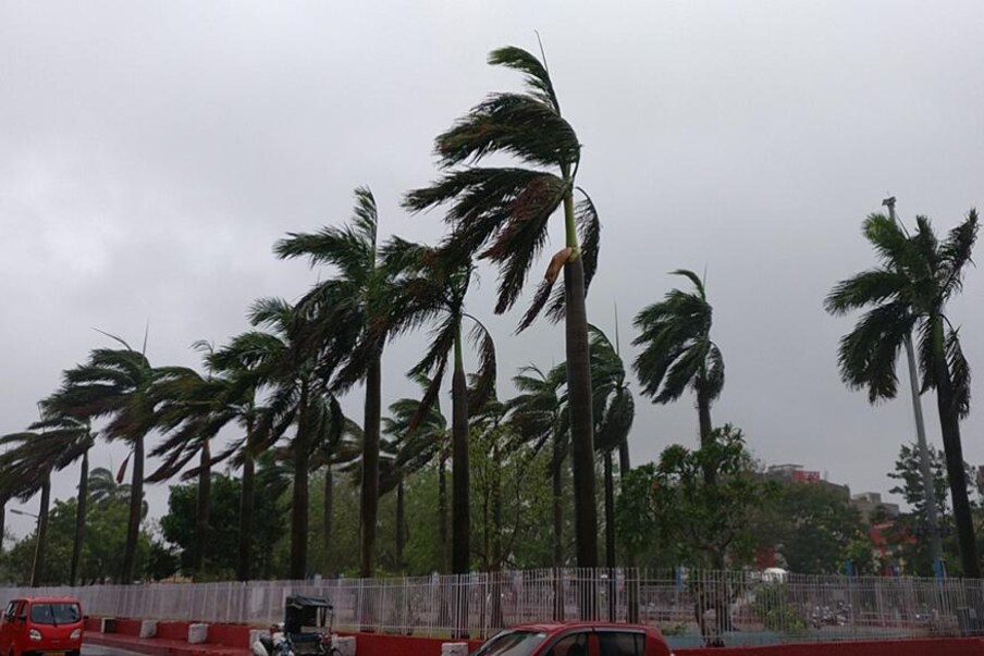  മരങ്ങൾ കടപുഴകി വീണതിനെ തുടർന്ന് ഗതാഗതം സ്തംഭിച്ചു
