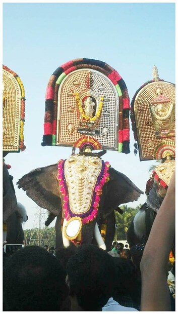  തെച്ചിക്കോട്ടുകാവ് രാമചന്ദ്രന്‍, തിരുവമ്പാടി ശിവസുന്ദര്‍, പാറമേക്കാവു പദ്മനാഭന്‍, ഗുരുവായൂര്‍ നന്ദന്‍ എന്നീ ഗജവീരന്‍മാര്‍ക്കൊപ്പം പൂരപ്രേമികളെ ആകര്‍ഷിക്കുന്നതായിരുന്നു പാര്‍ഥന്റെ തലയെടുപ്പും.