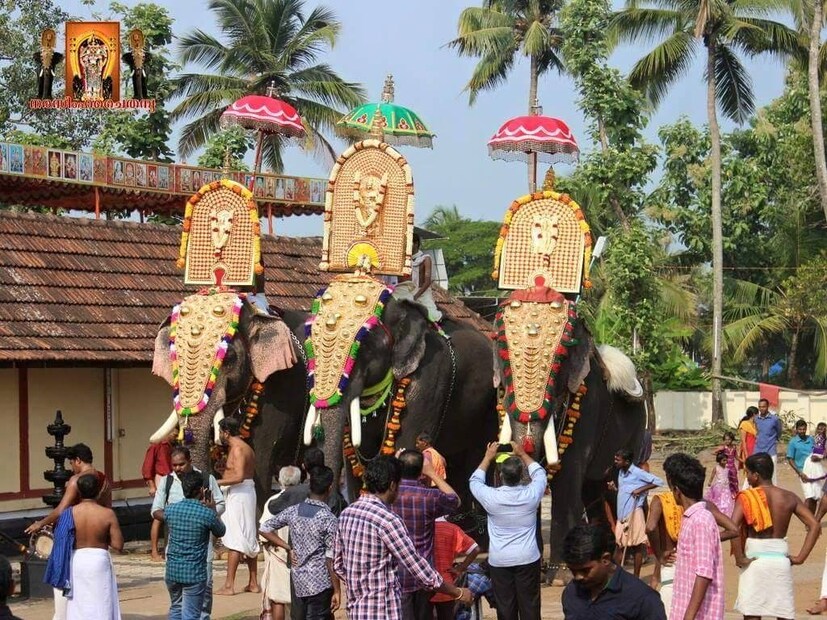  പൂരത്തിന് കണിമംഗലം ശാസ്താവിന്റെ തിടമ്പുമായി വടക്കുംനാഥ ക്ഷേത്രത്തിന്റെ ഗോപുര വാതില്‍ക്കല്‍ പതിവായി എത്താറുള്ളത് ചെര്‍പ്പുളശ്ശേരി പാര്‍ത്ഥനായിരുന്നു.