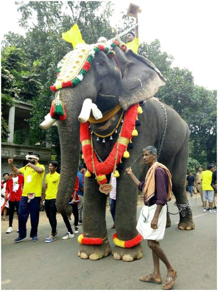 തൃശൂര് പൂരത്തിന് കണിമംഗലം ശാസ്താവിന്റെ തിടമ്പേറ്റാന് നിശ്ചയിച്ചിരുന്നത് പാര്ത്ഥനെയായിരുന്നു. ഇളമുറ തമ്പുരാന് ചെര്പ്പുളശേരി പാര്ഥന് എന്നാണ് ആനപ്രേമികള് വിളിച്ചിരുന്നത്. തൃശൂര് പൂരത്തിന് കണിമംഗലം ശാസ്താവിന്റെ തിടമ്പേറ്റാന് നിശ്ചയിച്ചിരുന്നത് പാര്ത്ഥനെയായിരുന്നു. ഇളമുറ തമ്പുരാന് ചെര്പ്പുളശേരി പാര്ഥന് എന്നാണ് ആനപ്രേമികള് വിളിച്ചിരുന്നത്.
