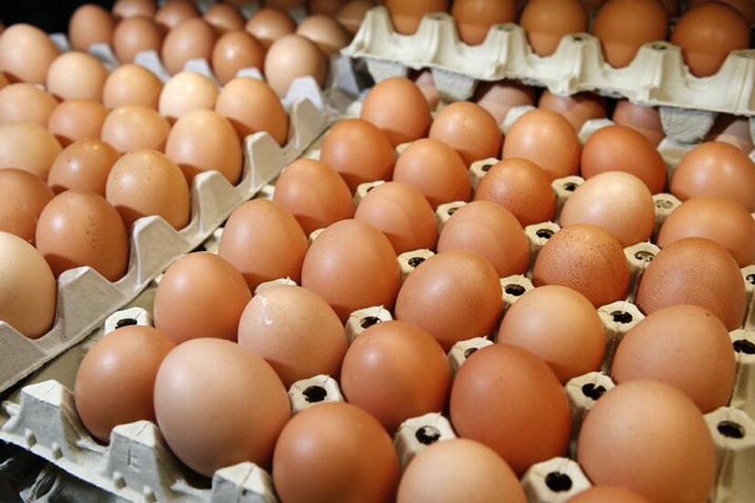  മുട്ടയിലടങ്ങിയിരിക്കുന്ന കൊളസ്ട്രോൾ അമിത അളവില്‍ ശരീരത്തിലേക്ക് എത്തുന്നത് ആരോഗ്യത്തെ മോശമായി ബാധിക്കുന്നുവെന്നാണ് മസാചുസെറ്റ്സ് ലോവൽ യൂണിവേഴ്സിറ്റിയിലെ പ്രൊഫസർ കാതറിൻ ടുക്കർ പറയുന്നത്.