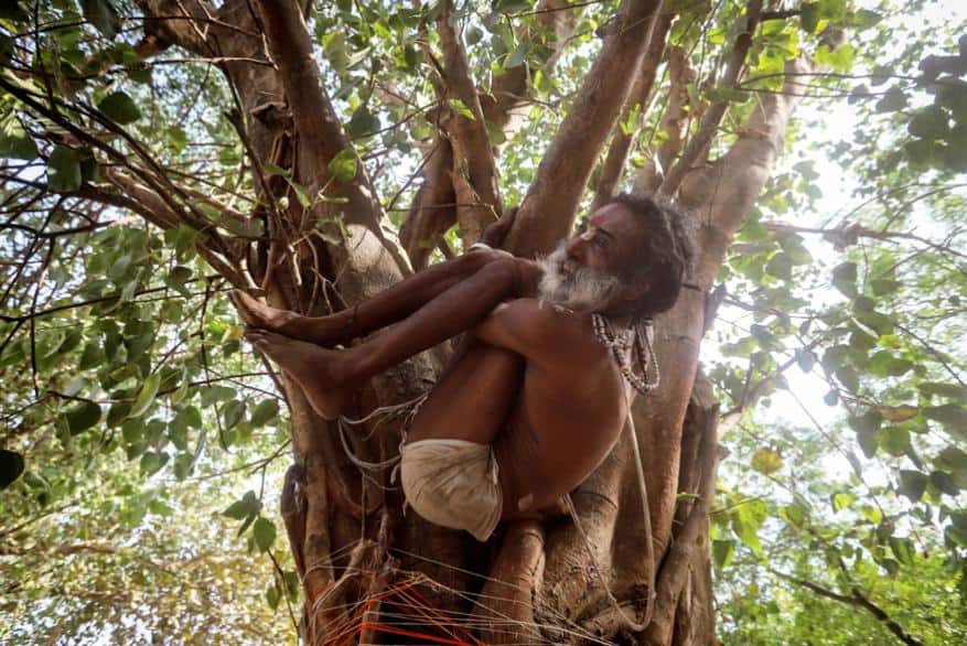 ലോകത്തിന്റെ വിവിധ കേന്ദ്രങ്ങളില് നടന്നിട്ടുള്ള പഠനങ്ങളിലൂടെ യോഗയുടെ ഗുണഫലങ്ങള് ഇതിനകം പുറത്തു വന്നിട്ടുണ്ട്. ലോകത്തിന്റെ വിവിധ കേന്ദ്രങ്ങളില് നടന്നിട്ടുള്ള പഠനങ്ങളിലൂടെ യോഗയുടെ ഗുണഫലങ്ങള് ഇതിനകം പുറത്തു വന്നിട്ടുണ്ട്.