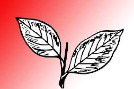 രണ്ടില ഇല്ലെങ്കിൽ ജോസ് ടോമിന് പൈനാപ്പിൾ, ഓട്ടോറിക്ഷ അല്ലെങ്കിൽ ഫുട്ബോൾ രണ്ടില ഇല്ലെങ്കിൽ ജോസ് ടോമിന് പൈനാപ്പിൾ, ഓട്ടോറിക്ഷ അല്ലെങ്കിൽ ഫുട്ബോൾ