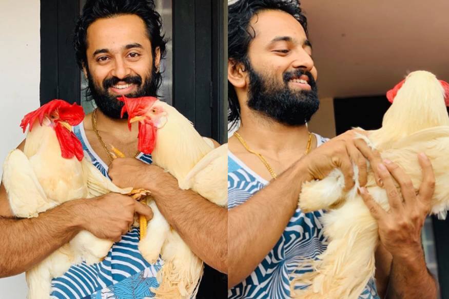 മാധവൻകുട്ടിയെയും നാരായണൻകുട്ടിയെയും പരിചയപ്പെടുത്തുകയാണ് ഉണ്ണി മുകുന്ദൻ. ഉണ്ണിയുടെ വളർത്തു കോഴികളാണ് രണ്ടു പേരും. പുതിയ ഇൻസ്റ്റാഗ്രാം പോസ്റ്റിലാണ് ഉണ്ണി ഇവരെ പരിചയപ്പെടുത്തുന്നത്. മാധവൻകുട്ടിയെയും നാരായണൻകുട്ടിയെയും പരിചയപ്പെടുത്തുകയാണ് ഉണ്ണി മുകുന്ദൻ. ഉണ്ണിയുടെ വളർത്തു കോഴികളാണ് രണ്ടു പേരും. പുതിയ ഇൻസ്റ്റാഗ്രാം പോസ്റ്റിലാണ് ഉണ്ണി ഇവരെ പരിചയപ്പെടുത്തുന്നത്.