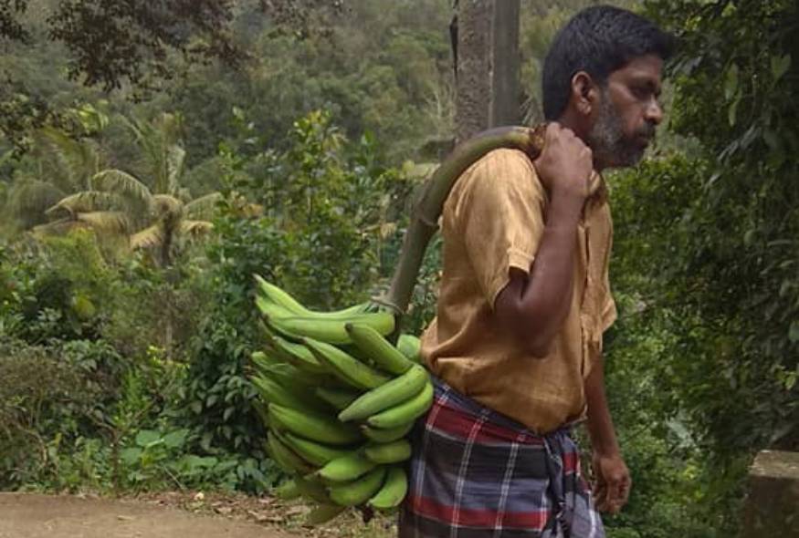  എല്ലാ തകർന്നിട്ടും പ്രളയദുരിതാശ്വാസത്തിൽ കൈത്താങ്ങാകാൻ മുന്നിട്ടിറങ്ങി ഒരു കർഷകൻ. കനത്ത കാറ്റിൽ ആയിരത്തിലധികം കുലച്ച ഏത്ത വാഴ ഒടിഞ്ഞുവീണ വിഷമം മാറ്റിവെച്ചാണ് രാജാക്കാട്ടെ അശോകൻ ദുരിതാശ്വാസപ്രവർത്തനത്തിൽ പങ്കാളിയായത്. മലപ്പുറത്തെയും വയനാട്ടിലെ കാര്യങ്ങൾ ടീവിയിൽ കാണുമ്പോൾ സങ്കടം വരുന്നുവെന്നും ഒരു വാഴക്കുല എടുത്തു നൽകി ആശോകൻ പറഞ്ഞത്.