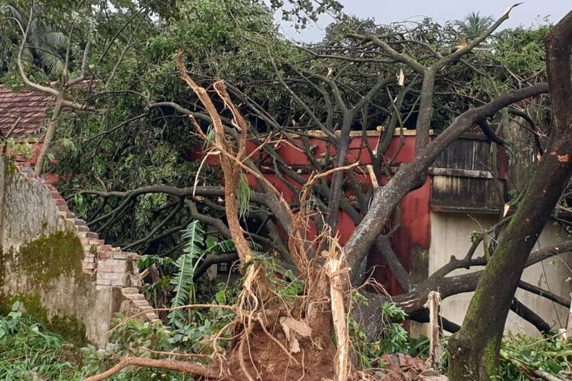  കളമശേരി, ഏലൂർ ഭാഗങ്ങളിൽ ഉണ്ടായ ചുഴലിക്കാറ്റിൽ ഏറെ നാശനഷ്ടം.