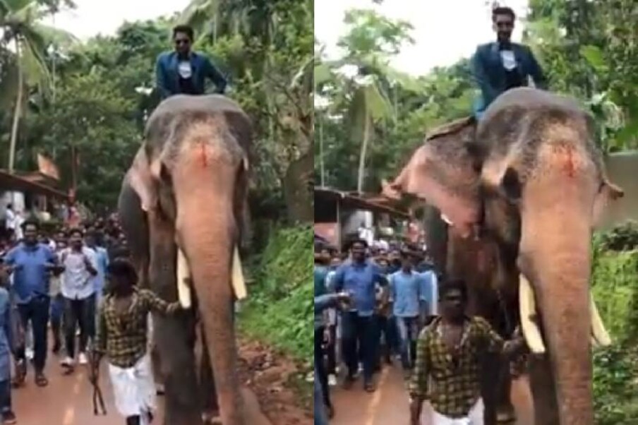  വിവാഹ ചടങ്ങിൽ ആനയെ ഉപയോഗിച്ചതിനാണ് കേസ്. വിവാഹത്തിന് വരനായ സമീഹ് വിവാഹപ്പന്തലിലെത്തിയത് ആനപ്പുറത്തായിരുന്നു. ഈ മാസം 18നായിരുന്നു വിവാഹം. ഇതിന്റെ വീഡിയോ സമൂഹ മാധ്യമങ്ങളിൽ പ്രചരിച്ചിരുന്നു.