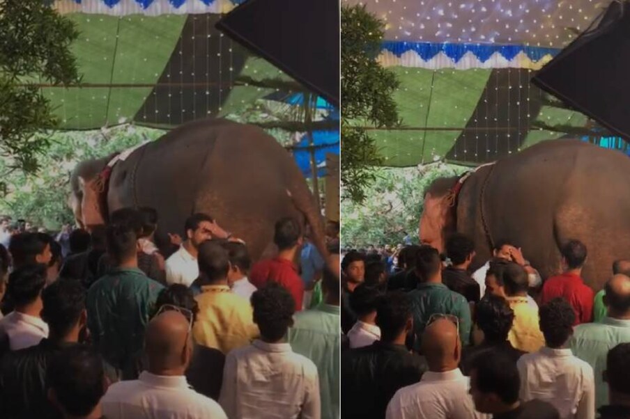  സമൂഹമാധ്യമങ്ങളിൽ വീഡിയോയുമായി ചിലർ വനം വകുപ്പിനെ സമീപിക്കുകയായിരുന്നു. തുടർന്ന് ആന പരിപാലന ചട്ടം ലംഘിച്ചതിന് വനം വകുപ്പ് കേസെടുക്കുകയായിരുന്നു.