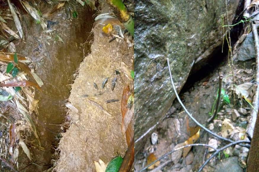 കൊച്ചി: എറണാകുളം ജില്ലയിലെ നേര്യമംഗലത്ത് ഉരുള്പൊട്ടല് സാധ്യതയെ തുടര്ന്ന് ആളുകളെ മാറ്റിപ്പാര്പ്പിച്ചു. കൊച്ചി: എറണാകുളം ജില്ലയിലെ നേര്യമംഗലത്ത് ഉരുള്പൊട്ടല് സാധ്യതയെ തുടര്ന്ന് ആളുകളെ മാറ്റിപ്പാര്പ്പിച്ചു.