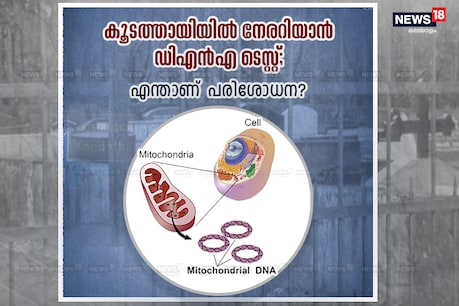 Explainer: കൂടത്തായിയിൽ നേരറിയാൻ ഡിഎൻഎ ടെസ്റ്റ്; എന്താണ് ഡിഎൻഎ പരിശോധന? Explainer: കൂടത്തായിയിൽ നേരറിയാൻ ഡിഎൻഎ ടെസ്റ്റ്; എന്താണ് ഡിഎൻഎ പരിശോധന?