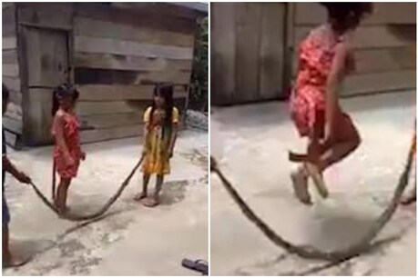 നിസാരം... നിസ്സാരം...... പാമ്പിനെ സ്കിപ്പിംഗ് റോപ്പാക്കി കുട്ടികൾ- വീഡിയോ വൈറൽ നിസാരം... നിസ്സാരം...... പാമ്പിനെ സ്കിപ്പിംഗ് റോപ്പാക്കി കുട്ടികൾ- വീഡിയോ വൈറൽ