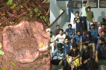 കോഴിക്കോട്ട് കോളേജ് വളപ്പിൽനിന്ന് ചന്ദനമരങ്ങൾ മുറിച്ചുകടത്തി; പ്രതിഷേധവുമായി വിദ്യാർഥികൾ