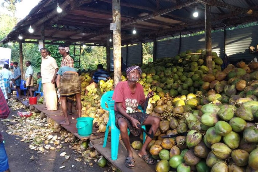  സംസ്ഥാനത്ത് ഉൽപാദനം വലിയ തോതിൽ കുറഞ്ഞ സാഹചര്യത്തിൽ പല കച്ചവടക്കാരും തമിഴ്നാട്ടിൽ നിന്നാണ് ഇളനീർ എത്തിക്കുന്നത്. അതിനാൽ ചരക്ക് കൂലി കൂടി അധികമായി നൽകേണ്ടി വരുന്നതോടെ ലേല തുകയെങ്കിലും തിരിച്ചു പിടിക്കാനാകുമോ എന്ന ആശങ്കയിലാണിവർ. കഴിഞ്ഞ മണ്ഡലകാലത്തെ അപേക്ഷിച്ച് ശബരിമലയിൽ ഭക്തജന തിരക്ക് വർധിച്ചിട്ടുണ്ട്. എന്നാൽ ആനുപാതികമായി ഇളനീർ വിൽപന വർധിച്ചിട്ടില്ല എന്ന് മാത്രം. അതേ സമയം പമ്പയിലെത്തുന ഇളനീരിനെ കുറിച്ച് ഭക്തർക്കിടയിലെ പരാതിയും വ്യാപകമാണ്.അമിത വിലയും നിലവാരമില്ലായ്മയുമാണ് ഇളനീരിനോട് മുഖം തിരിക്കാനുള്ള കാരണമെന്ന് ഭക്തർ പറയുന്നു.​