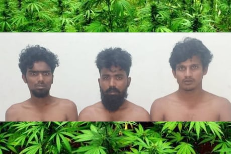 ഹൈടെക് കഞ്ചാവ് കടത്ത്; ഒന്നേകാൽ കിലോ കഞ്ചാവുമായി 'ലൂക്ക ബ്രോസ്' പിടിയിൽ ഹൈടെക് കഞ്ചാവ് കടത്ത്; ഒന്നേകാൽ കിലോ കഞ്ചാവുമായി 'ലൂക്ക ബ്രോസ്' പിടിയിൽ