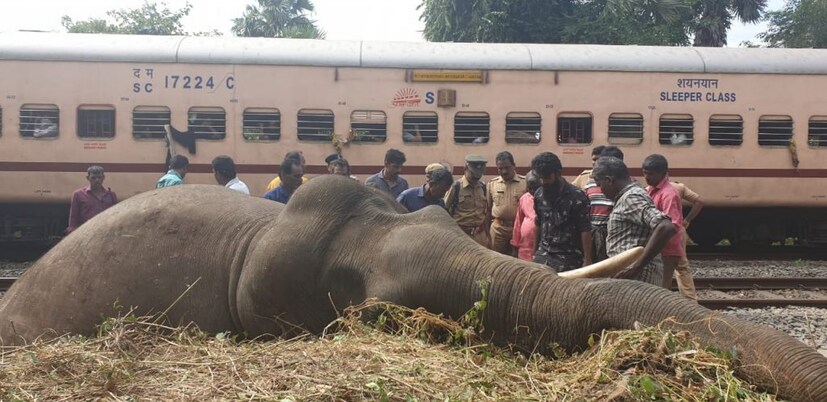  പാലക്കാട് കൊട്ടേക്കാട് വനമേഖലയിൽ ട്രെയിനിടിച്ച് കാട്ടാന ചരിഞ്ഞു. കോയമ്പത്തൂർ - പാലക്കാട് പാതയിലാണ് സംഭവം. ഇന്നലെ രാത്രി ഇതുവഴി കടന്നു പോയ തിരുവനന്തപുരം - ചെന്നൈ ട്രെയിൻ ഇടിച്ചാണ് അപകടമുണ്ടായത്. ഈ വർഷം മൂന്നാമത്തെ കാട്ടാനയാണ് ട്രെയിനിടിച്ച് അപകടത്തിൽപ്പെടുന്നത്. 