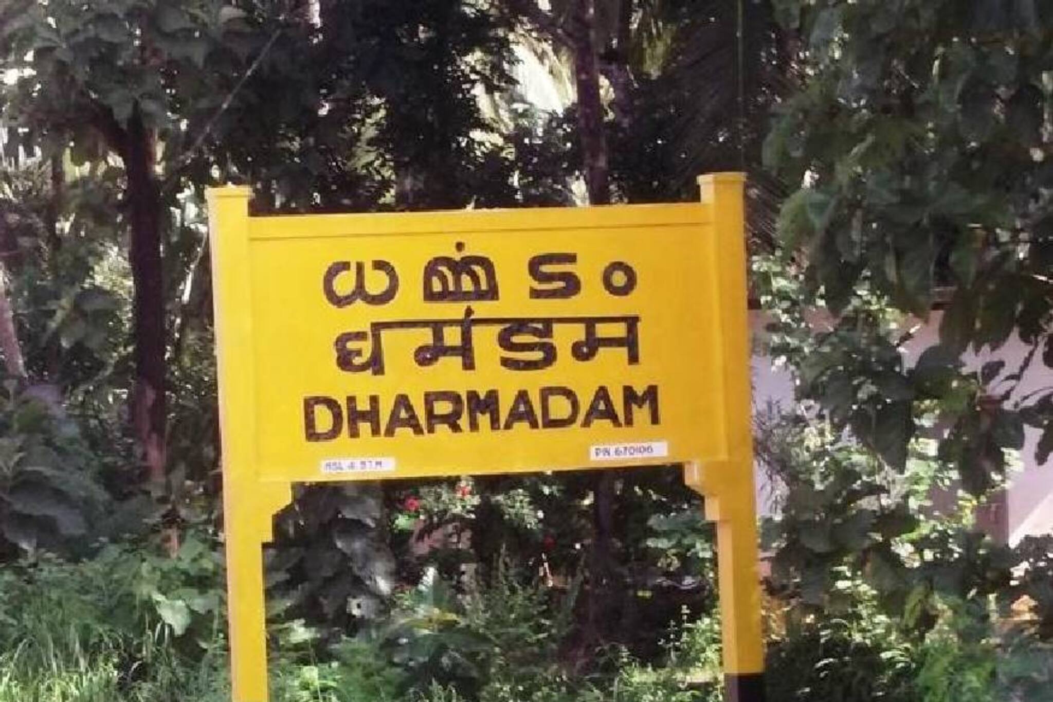 ധർമ്മടത്തെ പാതയോരങ്ങളിൽ ഇനി പൂമരങ്ങൾ തണൽ വിരിക്കും