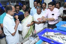 പടിഞ്ഞാറ്റെ മീൻ കിഴക്കോട്ട്; മത്സ്യഫെഡ് വക 65 ഫിഷ് സ്റ്റാളുകൾ വരുന്നു