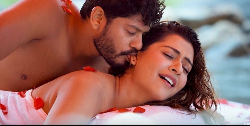  ഹോട്ട് ടീസർ കൊണ്ട് പ്രേക്ഷകരെ ഞെട്ടിച്ച, ലൈംഗിക അതിപ്രസരത്തിന് വിമർശനം നേരിട്ട തെലുങ്കിലെ ആർ.ഡി.എക്സ് എന്ന ചിത്രത്തിലെ നായികയാണ് പായൽ