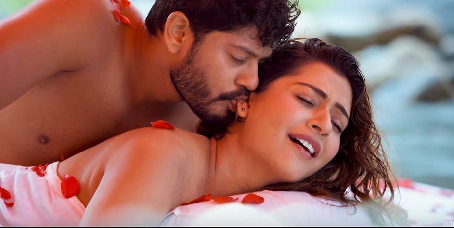 ഇനി അത്തരം രംഗങ്ങൾക്കില്ല; ആർ.ഡി.എക്സ്. നടി പായൽ രാജ്‌പുത്