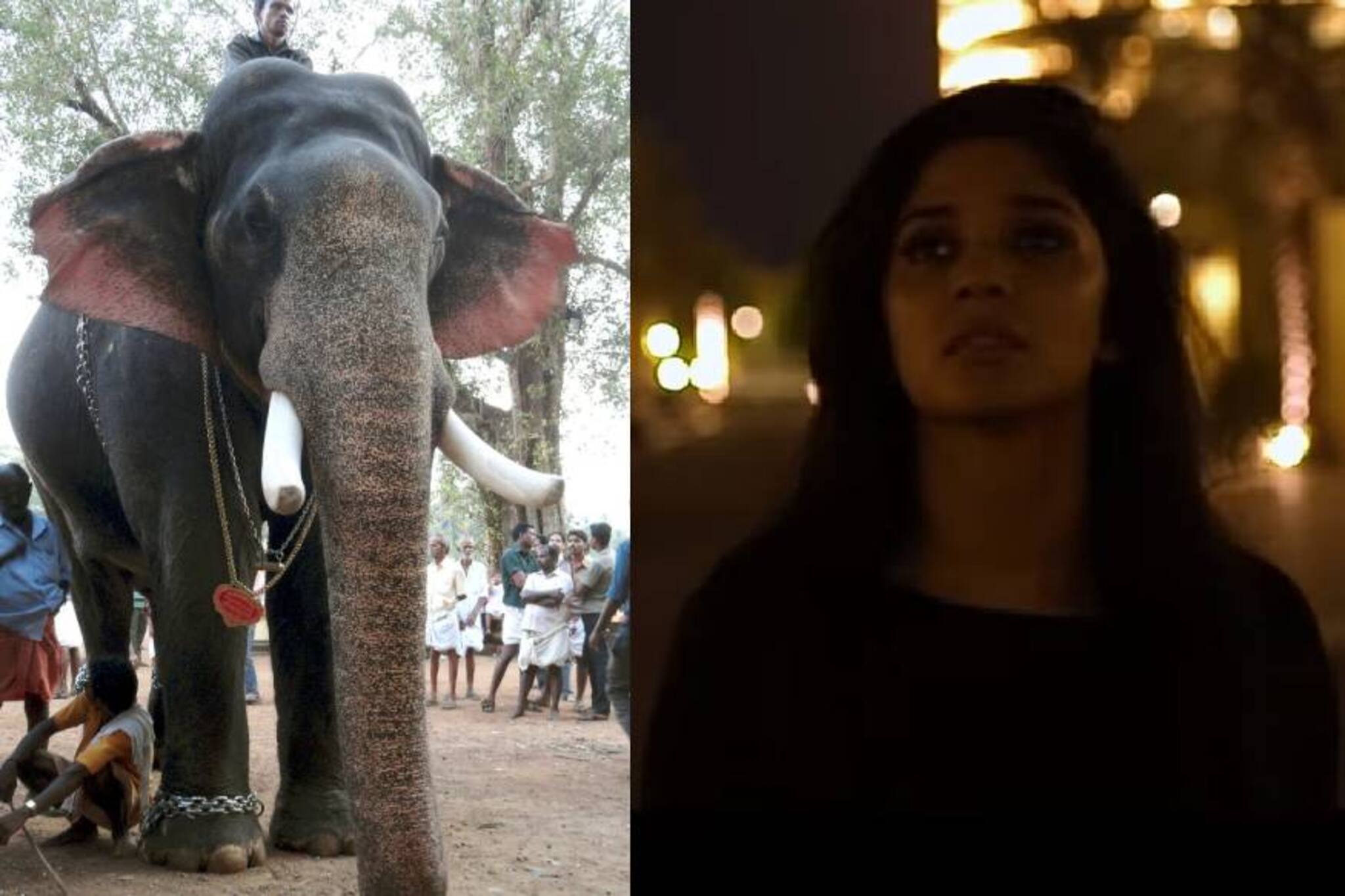 മോഹൻലാലിൻറെ ശബ്ദത്തിൽ പൂരമേളങ്ങളിൽ തിടമ്പേന്തിയ തിരുവമ്പാടി ശിവസുന്ദർ ഓർമ്മിക്കപ്പെടുന്നു