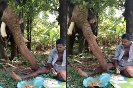 ആനക്കള്ളന്മാരെ കേട്ടിട്ടുണ്ടാകും എന്നാൽ കള്ളൻ ആനയെ കണ്ടിട്ടുണ്ടോ? ആനക്കള്ളന്മാരെ കേട്ടിട്ടുണ്ടാകും എന്നാൽ കള്ളൻ ആനയെ കണ്ടിട്ടുണ്ടോ?