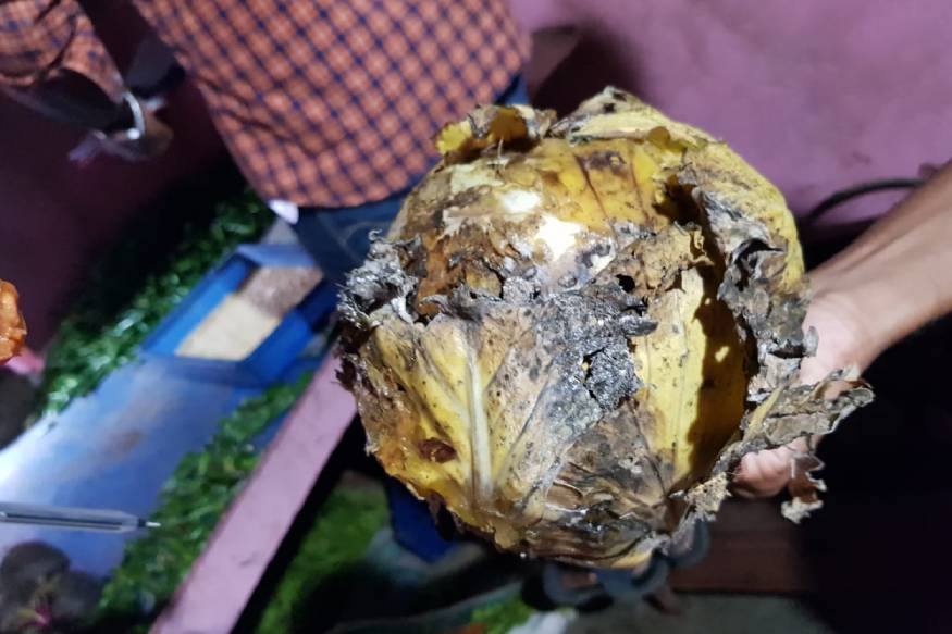 പമ്പയിലും സന്നിധാനത്തും റെയ്ഡ്: പഴകിയ സാധനങ്ങൾ പിടിച്ചെടുത്തു