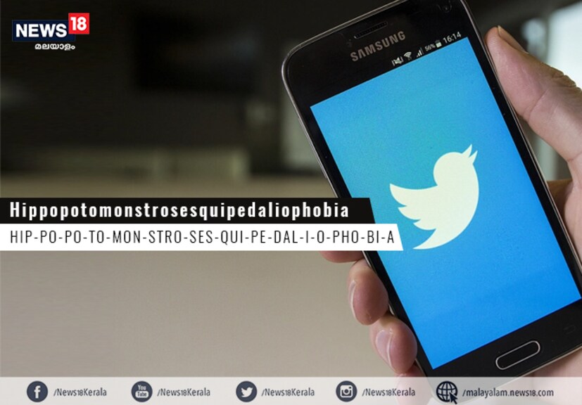  Meaning: The fear of long words