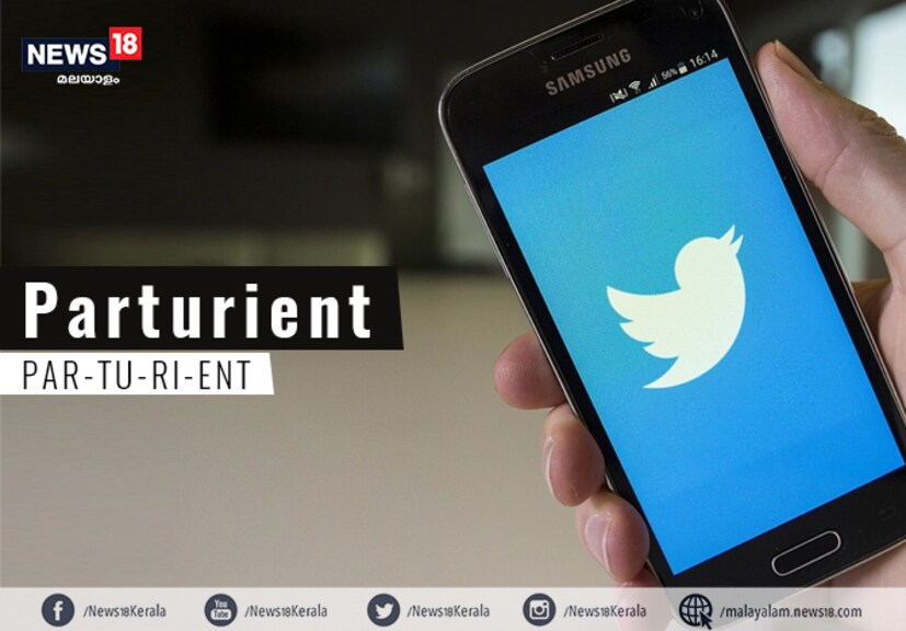  Meaning: (of a woman or female mammal) about to give birth; in labour.