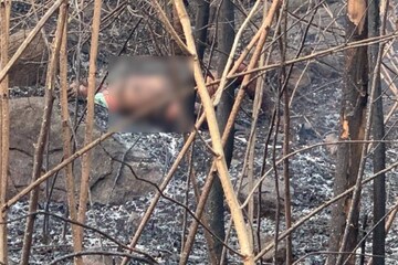തൃശ്ശൂർ കാട്ടുതീ: ചികിത്സയിൽ ആയിരുന്ന ഒരു വനപാലകൻ കൂടി മരിച്ചു; മരണസംഖ്യ മൂന്നായി തൃശ്ശൂർ കാട്ടുതീ: ചികിത്സയിൽ ആയിരുന്ന ഒരു വനപാലകൻ കൂടി മരിച്ചു; മരണസംഖ്യ മൂന്നായി