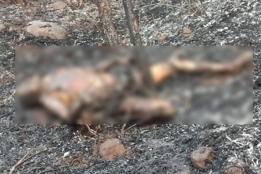 കനത്ത പുക കാാരണം രക്ഷാപ്രവർത്തനവും ദുഷ്കരമായി. പുക കാരണം എട്ട് പേർക്ക് ദേഹാസ്വാസ്ഥ്യം അനുഭവപ്പെട്ടിട്ടുണ്ട്. കനത്ത പുക കാാരണം രക്ഷാപ്രവർത്തനവും ദുഷ്കരമായി. പുക കാരണം എട്ട് പേർക്ക് ദേഹാസ്വാസ്ഥ്യം അനുഭവപ്പെട്ടിട്ടുണ്ട്.