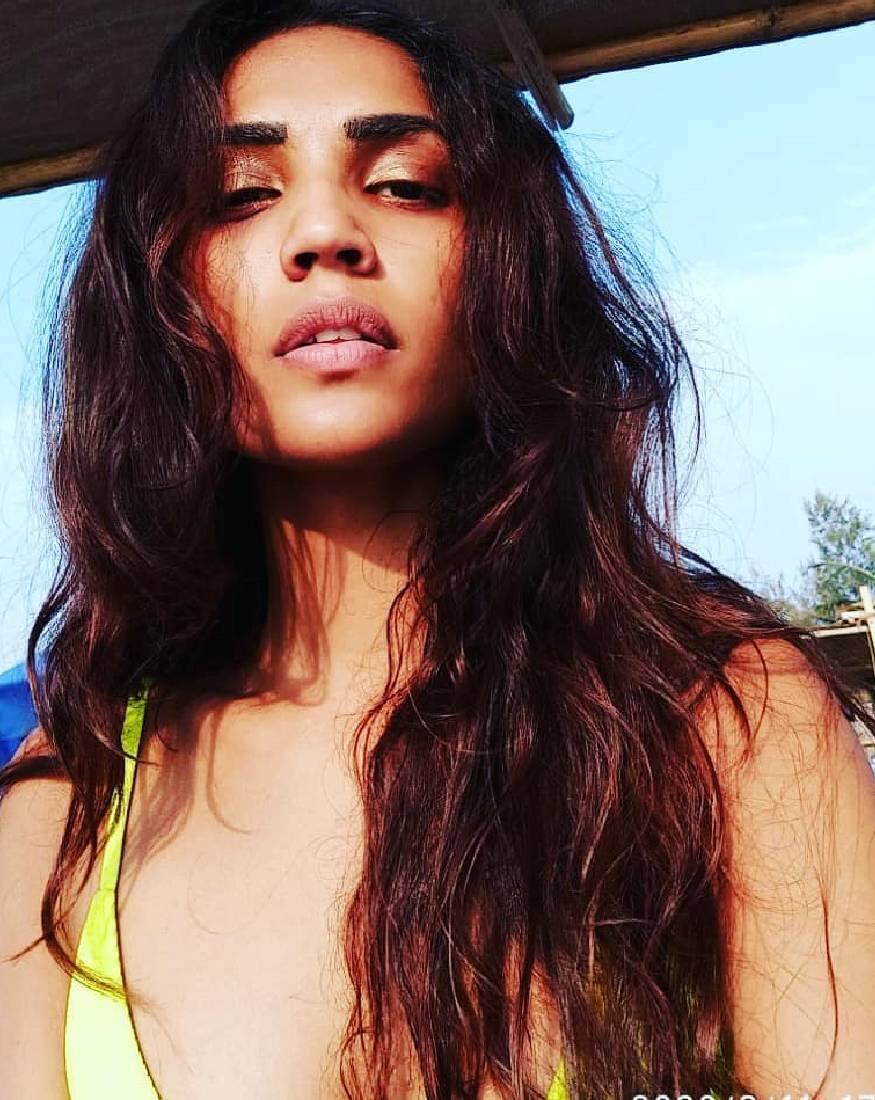  കിസ്മത്തിന് ശേഷം 'ഹു' എന്ന ത്രില്ലർ ചിത്രത്തിലും ശ്രുതി നായികാ പ്രാധാന്യമുള്ള വേഷം ചെയ്തിരുന്നു. അതിന്റെ അടുത്ത ഭാഗത്തിലും ശ്രുതി വേഷമിടുന്നുണ്ട്