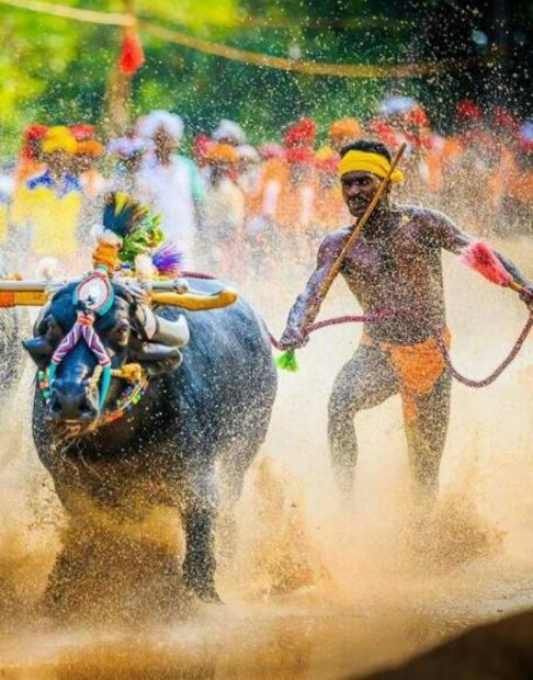  ന്യൂസ് 18 സീനിയർ എഡിറ്റർ ഡി.പി സതീഷ് ഇതിനെക്കുറിച്ച് ട്വീറ്റ് ചെയ്തതോടെയാണ് ഇത് വൈറലായത്. കേന്ദ്ര കായികമന്ത്രി കിരൺ റിജിജുവും ശ്രീനിവാസ ഗൗഡയുടെ നേട്ടത്തോട് പ്രതികരിച്ചിരുന്നു. ഗൗഡയെ ക്ഷണിച്ച് ശാരീരിക പരിശോധനകൾക്ക് വിധേയമാക്കാനും പരിശീലനം നൽകാനും കിരൺ റിജിജു സായിക്ക് നിർദ്ദേശം നൽകി.