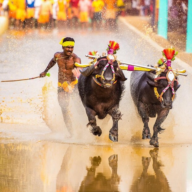  കർണാടക മുഖ്യമന്ത്രി ബി എസ് യെദ്യൂരപ്പ വിധാൻ സൗദയിൽ വെച്ച് ഗൗഡയെ അഭിനന്ദിക്കുകയും തൊഴിൽവകുപ്പ് അദ്ദേഹത്തിന് മൂന്ന് ലക്ഷം രൂപ കാഷ് അവാർഡ് നൽകുകയും ചെയ്തു.