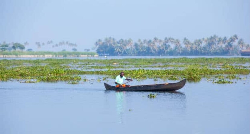  ഇത് ഉപ്പിന്റെ കാഠിന്യം വലിയ തോതിൽ ഉയർത്തും. ഇതാണ് സാഹചര്യമെങ്കിൽ കർഷകന്റെ വിലാപ ഭൂമിയായി കുട്ടനാട് മാറും