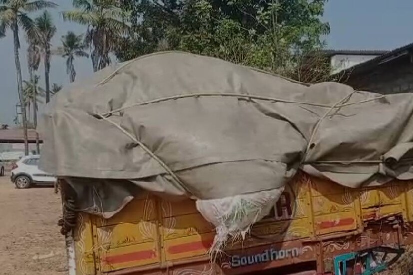  എറണാകുളം ജില്ലയിൽ നിന്ന് കോഴിക്കോട് ജില്ലയിലേക്ക് കൊണ്ടു പോകുന്ന മാലിന്യമാണ് വാഹനത്തിലെന്ന് വാഹന ഉടമ പറഞ്ഞതായി പൊലീസ് അറിയിച്ചു.