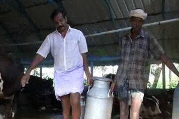 മിൽമ പാൽ സംഭരണം നിർത്തി; ചിറ്റൂരിൽ പാലൊഴുക്കി കളഞ്ഞ് ക്ഷീര കർഷകർ മിൽമ പാൽ സംഭരണം നിർത്തി; ചിറ്റൂരിൽ പാലൊഴുക്കി കളഞ്ഞ് ക്ഷീര കർഷകർ