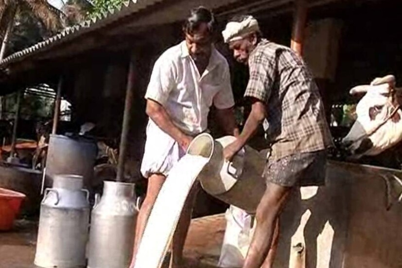  15 ലിറ്റർ മുതൽ 500 ലിറ്റർ പാൽ വരെ ഉല്പാദിപ്പിക്കുന്ന വൻകിട - ഇടത്തരം ക്ഷീര കർഷകരുടെയെല്ലാം അവസ്ഥ ഇതു തന്നെയാണ്. കുന്നംങ്കാട്ട് പതിയിൽ സേതുപതി എന്ന കർഷകന് രാവിലെ ഇരുന്നൂറോളം ലിറ്ററാണ് ഒഴുക്കിക്കളയേണ്ടി വന്നത്. ഇടത്തരം കർഷകയായ അരുണാ ദേവിക്ക് അഞ്ചു ലിറ്ററോളം പാൽ ഉപേക്ഷിക്കേണ്ടി വന്നു.