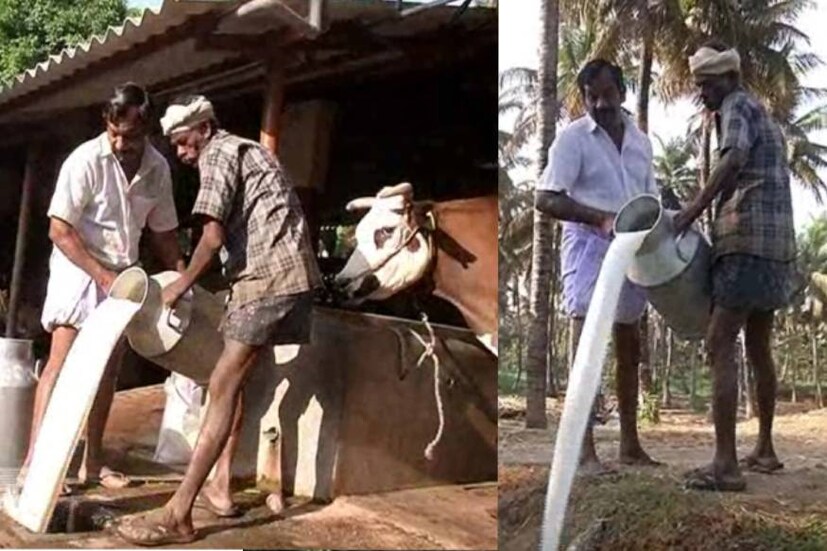  തമിഴ്നാട്ടിൽ നിന്നും സ്വകാര്യ കമ്പനികളുടെ പാൽ വരവ് നിയന്ത്രിച്ച് ക്ഷീരകർഷകരിൽ നിന്ന് മുഴുവൻ പാലും ശേഖരിക്കണമെന്ന് ഇവർ പറയുന്നു. സർക്കാർ ക്രമീകരണം ഏർപ്പെടുത്തുകയാണെങ്കിൽ കമ്മ്യൂണിറ്റി കിച്ചണിലേക്ക് ഉൾപ്പടെ പാൽ നൽകാൻ തയ്യാറാണെന്ന് ഇവർ പറയുന്നു.