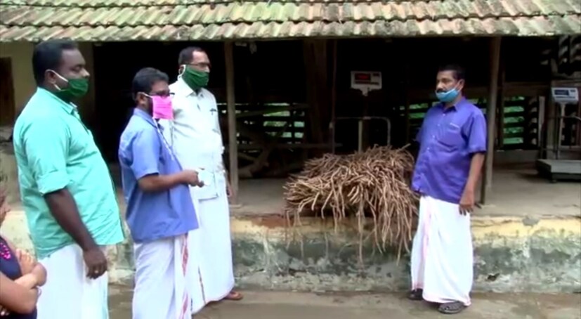  നേരത്തെ കൊല്ലത്തും വയനാട്ടിലും ഉൾപ്പെടെയാണ് ഭീമൻ ചക്കകൾ ചർച്ചയായത്.