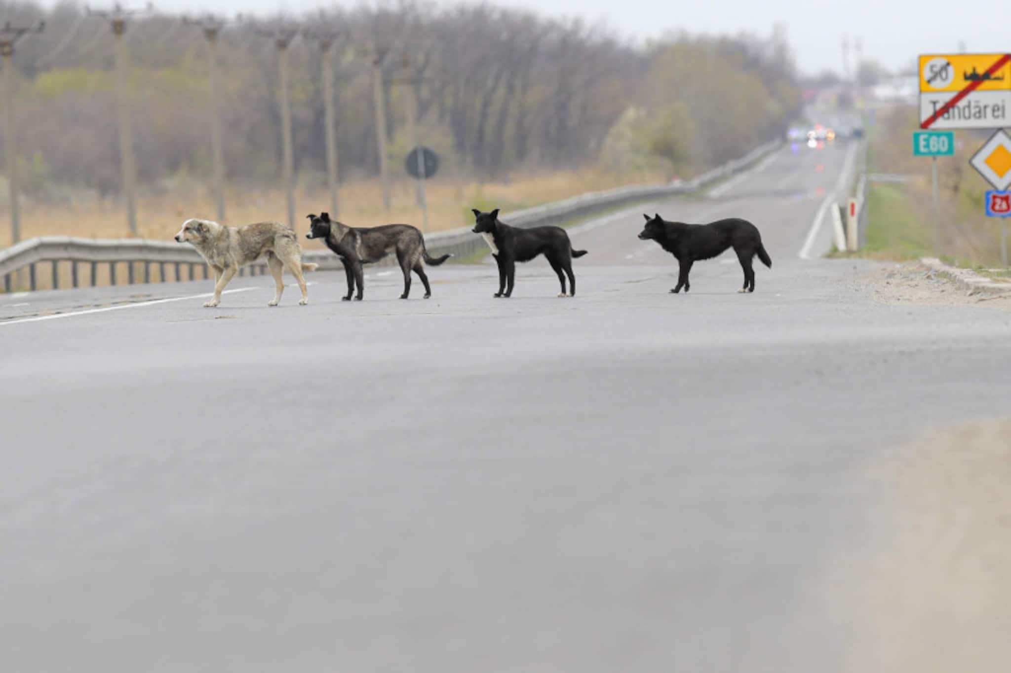 'ഇത് ഞങ്ങളുടെ ഏരിയ'; ലോക്ക്ഡൗണിൽ പാർക്കുകളും റോഡുകളും കയ്യേറിയവർ