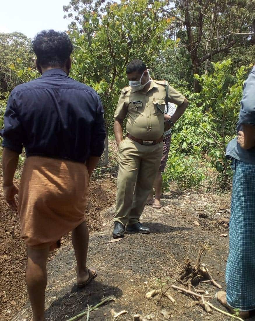 രാത്രിയില് സമീപവീടുകളിലെ നായകള് നിര്ത്താതെ കുരച്ചതും നാട്ടുകാരുടെ ഭീതി ഇരട്ടിയാക്കിയിരിക്കുകയാണ്. കാൽപ്പാടുകൾ പുലിവര്ഗ്ഗത്തില്പ്പെട്ട ലെപ്പേട് ക്യാറ്റിന്റെതാണ് എന്നാണ് വനംവകുപ്പിന്റെ നിഗമനം രാത്രിയില് സമീപവീടുകളിലെ നായകള് നിര്ത്താതെ കുരച്ചതും നാട്ടുകാരുടെ ഭീതി ഇരട്ടിയാക്കിയിരിക്കുകയാണ്. കാൽപ്പാടുകൾ പുലിവര്ഗ്ഗത്തില്പ്പെട്ട ലെപ്പേട് ക്യാറ്റിന്റെതാണ് എന്നാണ് വനംവകുപ്പിന്റെ നിഗമനം