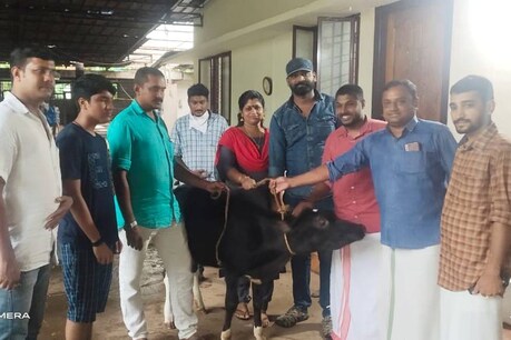 ഓമനിച്ചു വളർത്തിയ പശുക്കിടാവിനെ നൽകി; DYFI റീസൈക്കിൾ കേരളയിലേക്ക് ക്ഷീര കർഷകയുടെ സംഭാവന ഓമനിച്ചു വളർത്തിയ പശുക്കിടാവിനെ നൽകി; DYFI റീസൈക്കിൾ കേരളയിലേക്ക് ക്ഷീര കർഷകയുടെ സംഭാവന