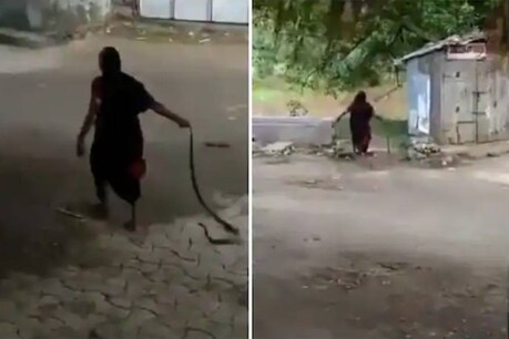 Viral Video | നിസാരം!! കൂറ്റൻ രാജവെമ്പാലയെ വാലിൽ തൂക്കിയെറിഞ്ഞ് വയോധിക; അതൊരു പാമ്പാണെന്ന് നെറ്റിസൺസ് Viral Video | നിസാരം!! കൂറ്റൻ രാജവെമ്പാലയെ വാലിൽ തൂക്കിയെറിഞ്ഞ് വയോധിക; അതൊരു പാമ്പാണെന്ന് നെറ്റിസൺസ്