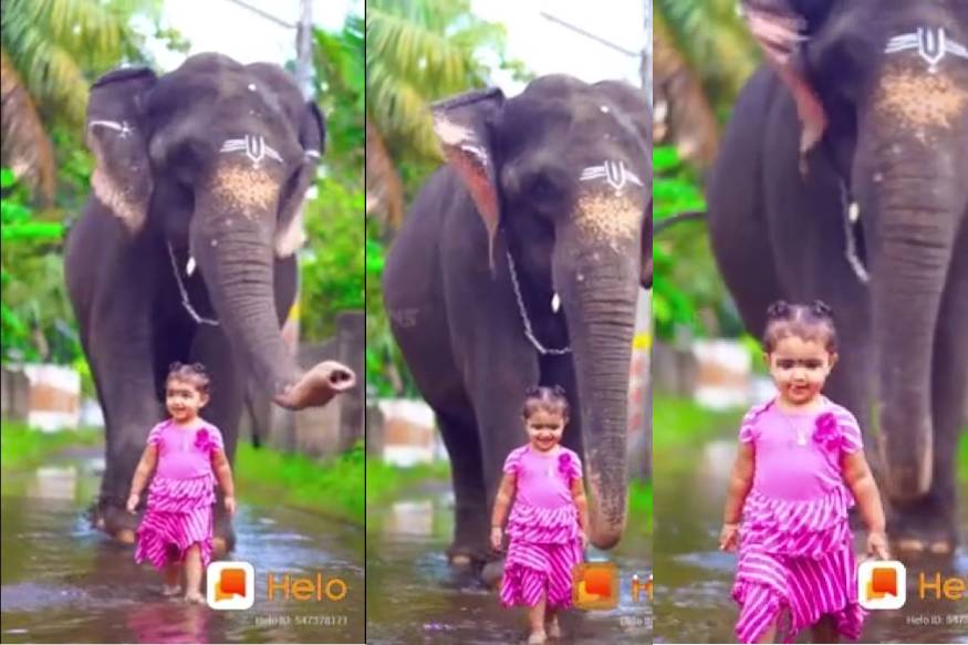 ഉമയും ഭാമയും: ഒന്നര വയസുകാരിയുടെ കൂട്ടായി ഇമ്മിണി ബല്യൊരു ആന