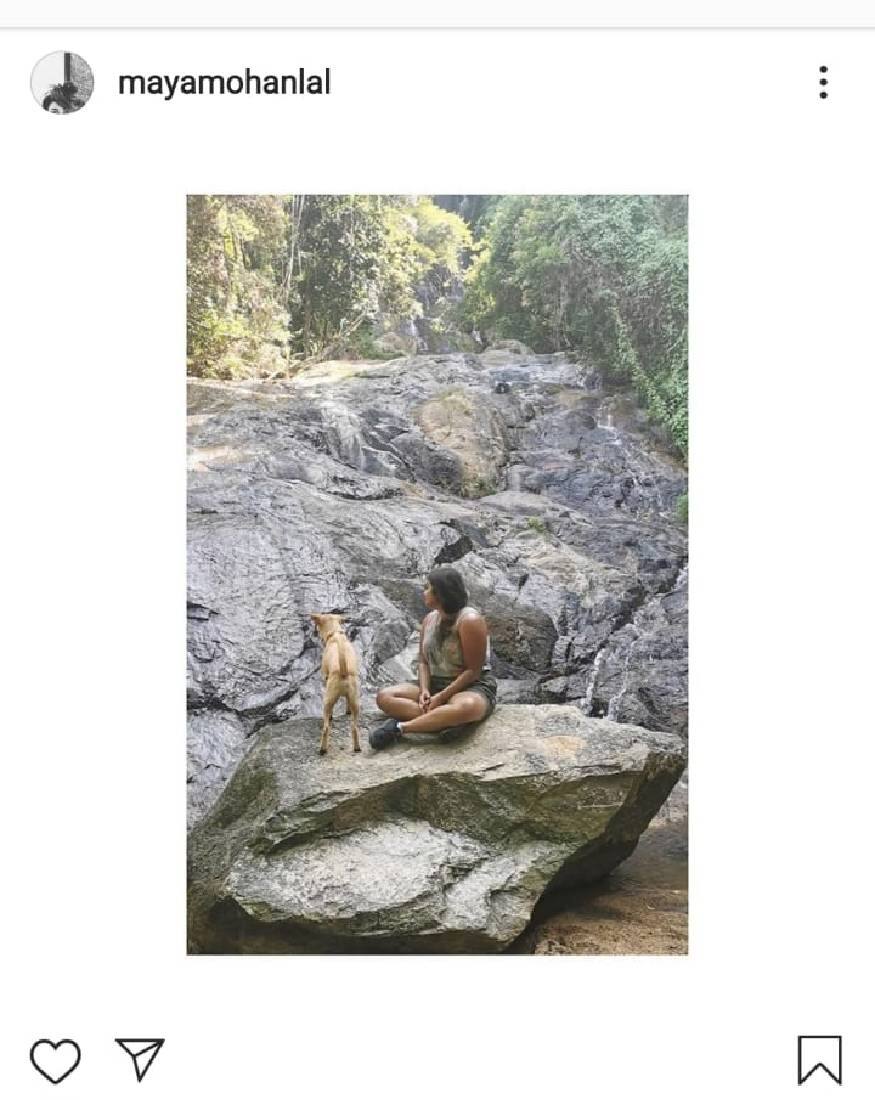 എന്നാൽ അനുജത്തി വിസ്മയയും ചേട്ടനെ പോലെ ആണെന്ന് സൂചന നൽകുന്ന ചിത്രമാണിത്. തന്റെ ഏറ്റവും പുതിയ ഇൻസ്റ്റാഗ്രാം പോസ്റ്റിലൂടെ പ്രകൃതിരമണീയമായ സ്ഥലത്ത് വലിയ പാറപ്പുറത്തിരിക്കുന്ന ചിത്രവുമായി എത്തുകയാണ് മായ