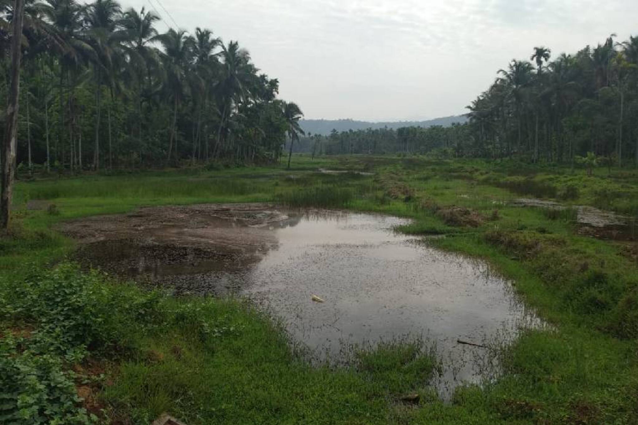 കോട്ടൂരിലെ കർഷകർക്ക് പാടത്ത് കൃഷിയിറക്കണം; സർക്കാരോ ഗെയിലോ കനിയണം