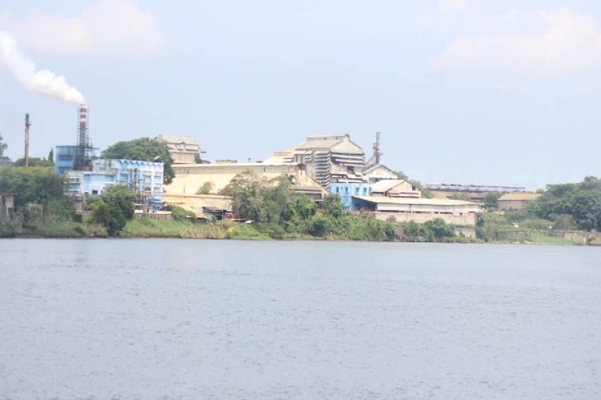  ഘനലോഹങ്ങളുടെ സാന്നിദ്ധ്യവും ജലത്തിൽ കാലങ്ങളായി അടിഞ്ഞുകൂടിയിരിക്കുന്ന മാലിന്യങ്ങളുമാണ് ഇതിന് കാരണമെന്ന് കുസാറ്റിലെ മറൈൻ ബയോളജി, മൈക്രോബയോളജി വിഭാഗം മേധാവി ഡോ: എസ്. ബിജോയ് നന്ദൻ പറയുന്നു