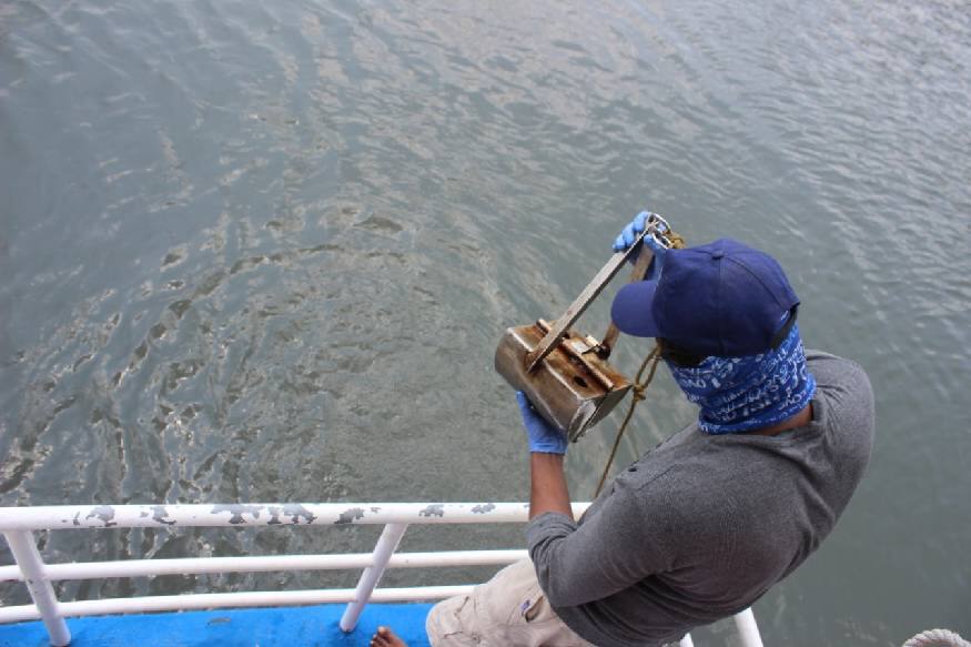  അടിഞ്ഞുകൂടിയ മാലിന്യങ്ങൾ നീക്കം ചെയ്യണമെന്ന് ചൂണ്ടിക്കാട്ടി 2015ൽ സർക്കാറിന് നൽകിയ റിപ്പോർട്ടിൽ ഇതുവരെയും നടപടി സ്വീകരിച്ചിട്ടില്ല. മാലിന്യങ്ങൾ നീക്കിയാൽ മാത്രമേ പെരിയാറിന് ജീവൻ തിരിച്ചുകിട്ടൂ. പാതാളം, ഏലൂർ, എഫ്.എ.സി.റ്റി. ഭാഗത്ത് പെരിയാറിൽ ജൈവ സാന്നിദ്ധ്യവും ഇല്ലാതായി. ഓക്സിജൻ്റ അളവ് ഒട്ടും ഇല്ലാത്തതിനാൽ സൂക്ഷ്മ സസ്യങ്ങൾ വളരുന്നില്ല. അതിനാൽ ഇവയെ ആഹാരമാക്കുന്ന മത്സ്യങ്ങളുടെ സാന്നിദ്ധ്യവും ഇല്ല