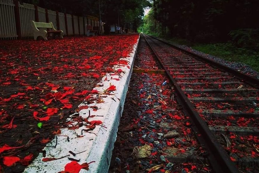  സയ്യിദ് ആസിഫ് എന്നയാൾ പകർത്തിയാണ് ചിത്രങ്ങൾ.
