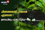 പുഴുവിന് ചിത്രശലഭമായി പറക്കാൻ പവിഴക്കൂടൊരുക്കിയ കൂട്ടുകാരി